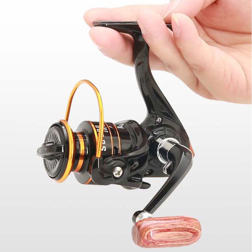 800 Series Small Spinning Fish - Daiwa Reel Bg 评论和价格